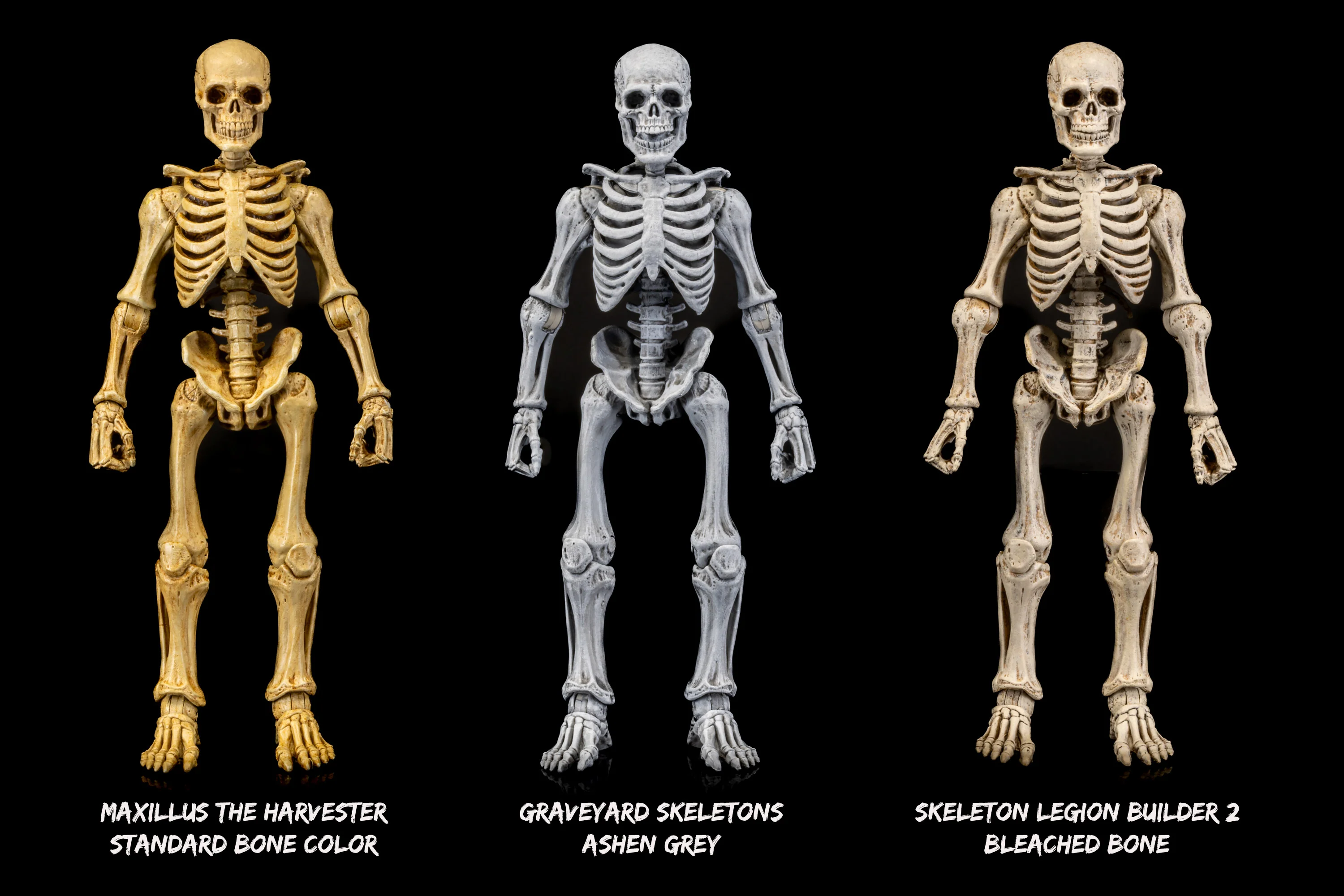 GRAVEYARD SKELETONS 4-pack set - Image 20