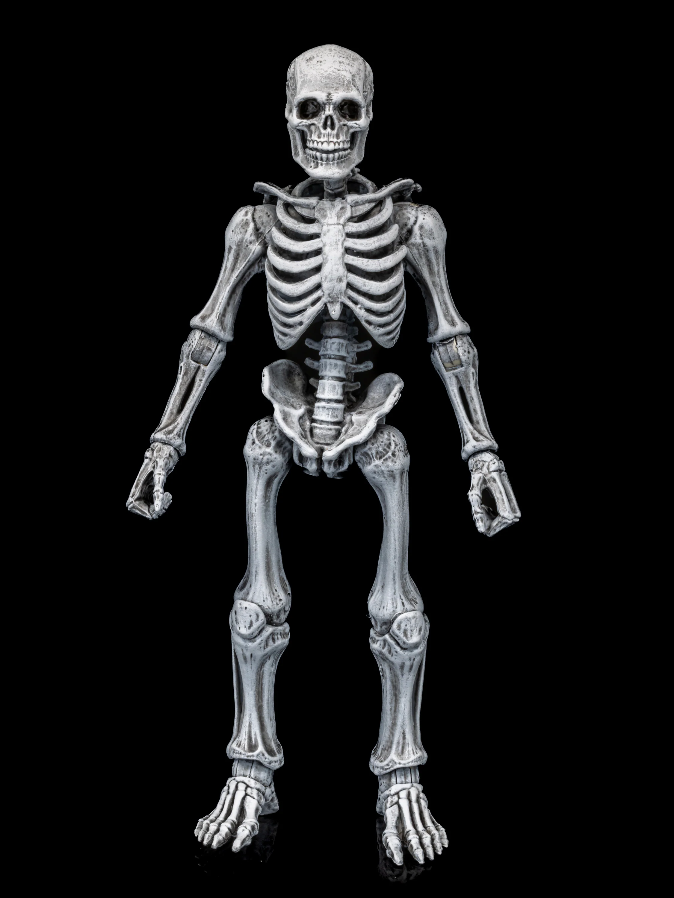 GRAVEYARD SKELETONS 4-pack set - Image 4