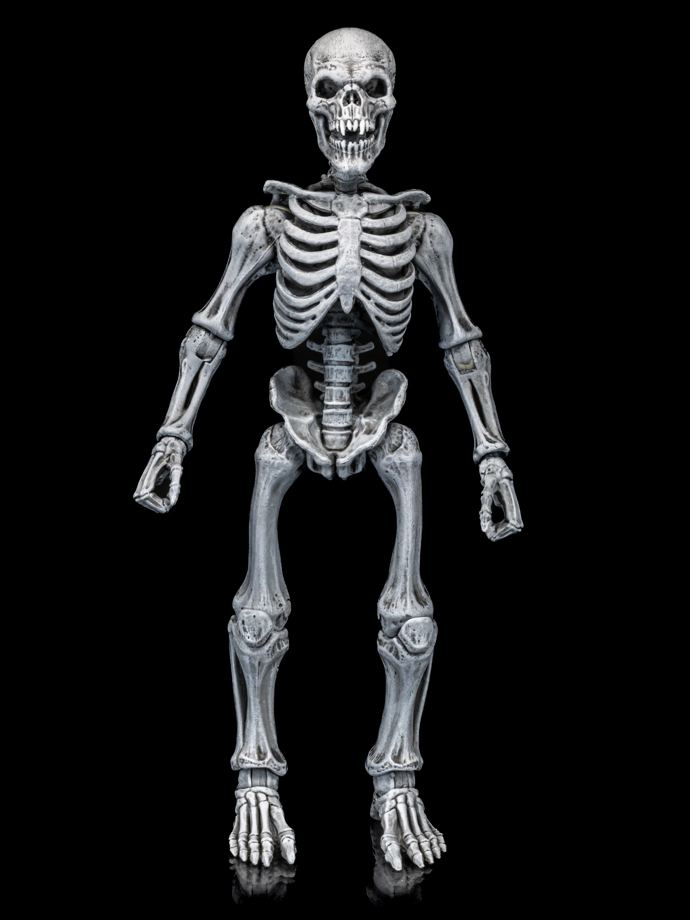 GRAVEYARD SKELETONS 4-pack set - Image 8